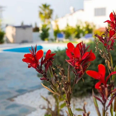 Villa Horizon Luxury *